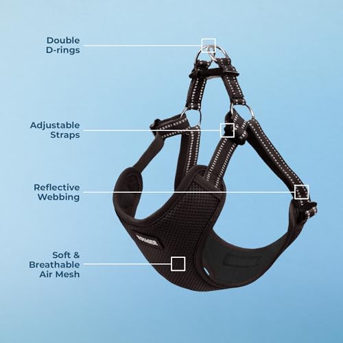 Best Pet Supplies Voyager Adjustable Step-in Flex Breathable Mesh Dog Harness for Small Medium Large Dogs (Black), L - color: Harness (Black), size: L