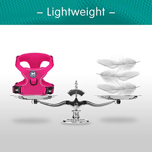 PoyPet Reflective Soft Breathable Mesh Dog Harness No Choke Double Padded Vest Adjustable(Fuchsia,XS) - color: Fuchsia, size: XS