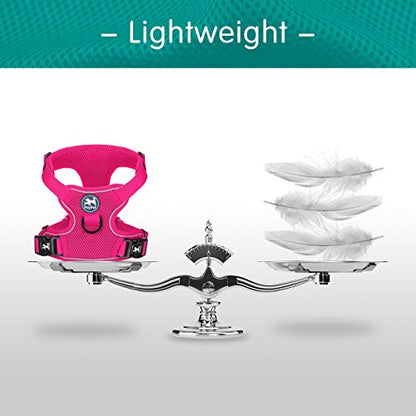 PoyPet Reflective Soft Breathable Mesh Dog Harness No Choke Double Padded Vest Adjustable(Fuchsia,XS) - color: Fuchsia, size: XS