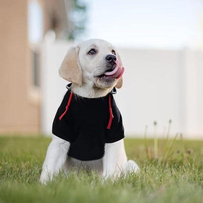 Dog Hoodie,Flannel Pet Hooded Sweater with Hat Puppy Pullover Sweater Shirt,Dog (Black,2XL) - color: Black, size: XX-Large