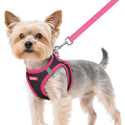 rabbitgoo Dog Harness Small Sized and Leash Set, Step-in Breathable Pet Harness, Soft Walking Reflective Puppy Vest for Small Dogs, Black & Rose Red, XS - color: Black & Rose Red, size: XS (Chest: 13.3 - 15.5")