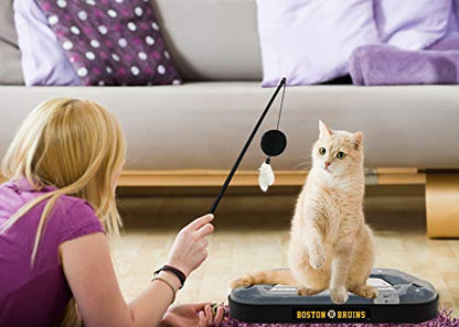 Pets First NHL Boston Bruins Hockey Field Scratching Pad with Interactive Cat Ball Bell Toy Set - color: Boston Bruins