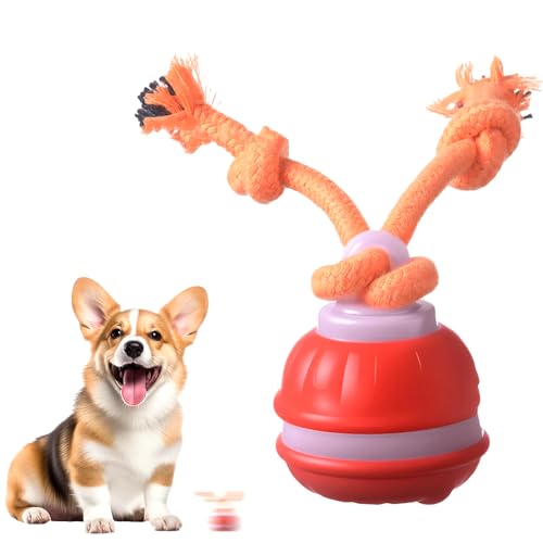 LECDOA Interactive Dog Toys, Smart Touch-Activated Automatic Rolling Ball, USB Rechargeable Bouncing Dog Ball, Suitable for Cats and Small to Medium-Sized Puppies (Orange) - color: Orange