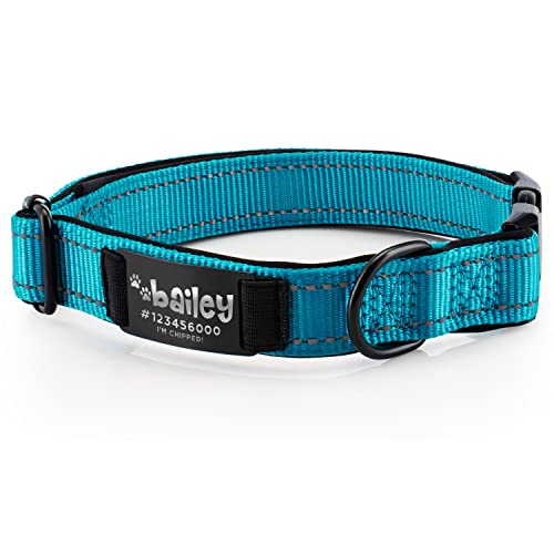 Improved - Personalized Dog Collars w/Engraved Metal ID Nameplate for Name & 3 Lines Text - Custom 20 Icons, 4 Adjustable Sizes, 10 Fonts, Dog Collar for Large Dogs, Dog ID Tag Personalized, Sky Blue - color: Sky Blue