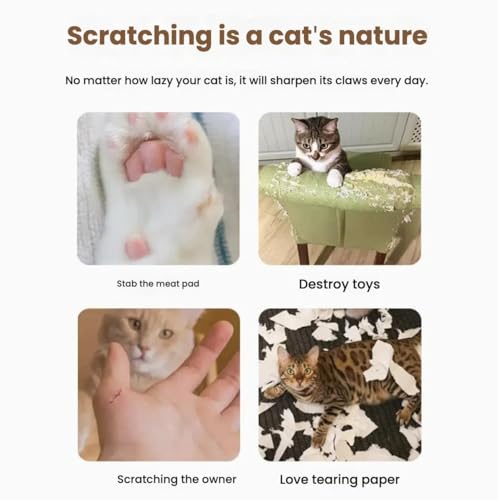 Cat Toy, Cat Scratcher, Reversible Infinity Style Magic Organ, Scratch-Resistant and Abrasion-Resistant, Foldable Cat Toys for Indoor Cats - color: Cat