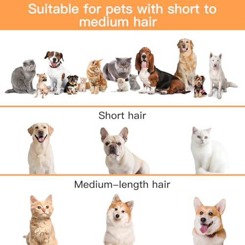 AIRROBO Dog Grooming Vacuum Kit,12000Pa Strong Pet Vacuum for Shedding,Grooming Hai,Quiet,PG100,2L Large Capacity - color: White-5-in-1