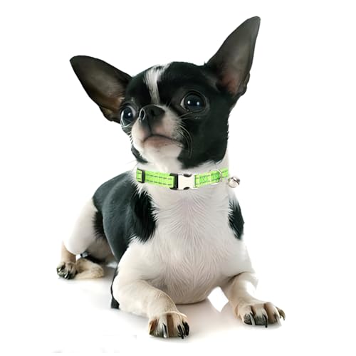 Green Puppy Collar with Bell, Reflective Nylon XS Cat Collars Soft Adjustable Buckle for XXS XSmall Small Puppy Female Tiny Pets Dogs Boy Girl Kitten Yorkie X-Small - color: Green