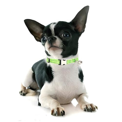 Green Puppy Collar with Bell, Reflective Nylon XS Cat Collars Soft Adjustable Buckle for XXS XSmall Small Puppy Female Tiny Pets Dogs Boy Girl Kitten Yorkie X-Small - color: Green