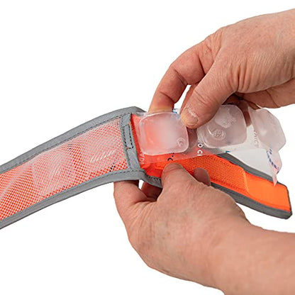 CoolerDog Hi-Vis Cooling Dog Collar for X-Large Dogs – Reflective Re-Freezable Ice Collar for Hot Weather & Heat Relief (Orange, X-Large) - size: X-Large