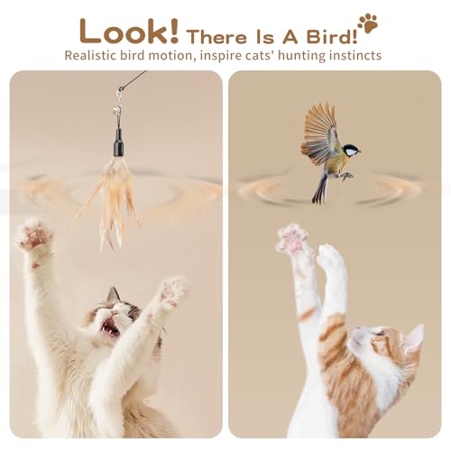 Pawaboo Feather Teaser Cat Toy - Interactive Wand with Extra Long 34.5" Wand and Small Bell, Fun Exerciser Playing Toy for Kittens or Cats, Brown Feather - color: A-Brown