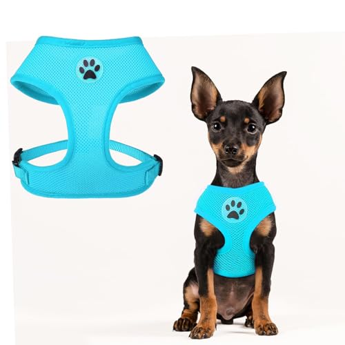 BINGPET Small Dog Harness, No Pull Dog Harness Small Sized Dogs, Soft Light Breathable Mesh Puppy Vest with Safety Buckle-Adjustable Step in Pet Harnesses for Easy Walking, Running, Training - color: Royal Blue, size: S (NECK: 12", CHEST: 14"-18")