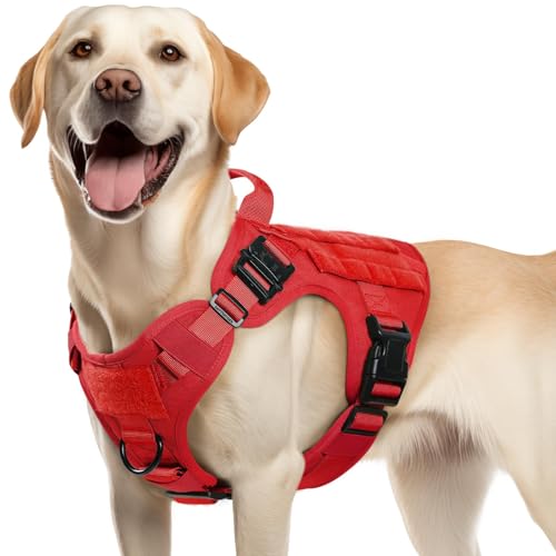rabbitgoo Tactical Dog Harness Medium Sized, Heavy Duty Pet Harness with Handle, No-Pull Service Vest Medium Breed, Adjustable Military Dog Vest for Training Hunting Walking, Red, M - color: Red, size: Medium
