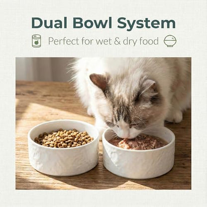 Ceramic Dog and Cat Bowl 2-Pack Small Heavy Weighted Non-Slip Food & Water Set for Cats & Small Dogs 13.5oz White - color: White – 2 Pack