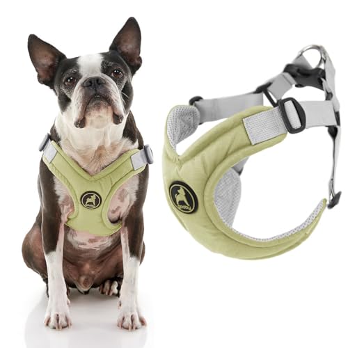Gooby Memory Foam Step in Harness - Green, Large - No Pull Small Dog Harness Patented Choke-Free X Frame - Perfect on the Go Dog Harness for Medium Dogs No Pull or Small Dogs - color: Green, size: Large chest (19-23.5")