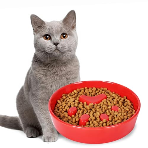 Slow Feeder Cat Bowls, Ceramic Fun Slow Eater Bowl for Cats (Red)
