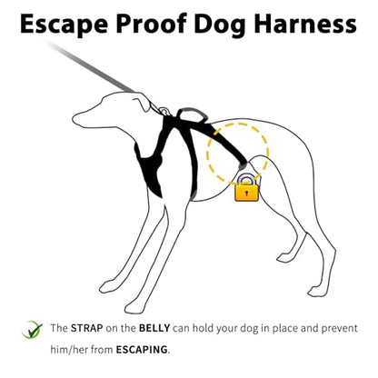 Huntboo Escape Proof Harness, No Slip Dog Harness Escape Proof,Fully Reflective Harness with Handle, Breathable,Durable, Adjustable Vest for Medium Dogs Walking,Training,and Running Gear(Vista Blue,M) - color: Vista Blue, size: Medium(Pack of 1)