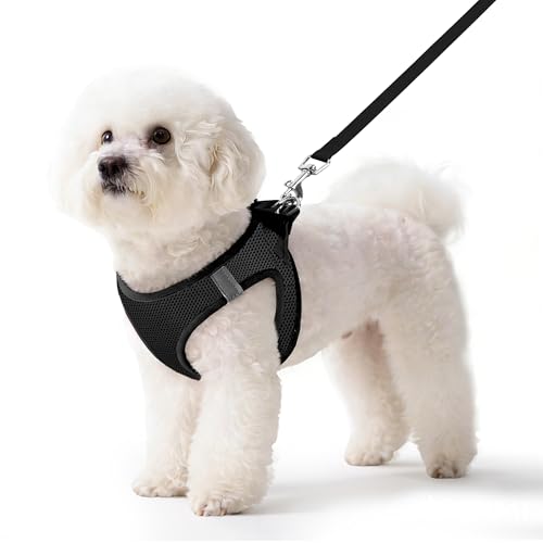Pet Harness No Pull with Breathable Mesh, Comfort-Focused Dog and Cat Harness Featuring Hook & Loop Fastener, Snap Buckle and Double D-Rings, 0.55FIT, Black, M - color: Black, size: M