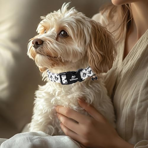 Girl Dog Collar Black Bow Dog Collars for Puppy Small Dogs - Lightweight Adjustable Chic Sweet Spring Female Dogs Everyday Collars with Safety Buckle XS - color: Black Bow, size: XS