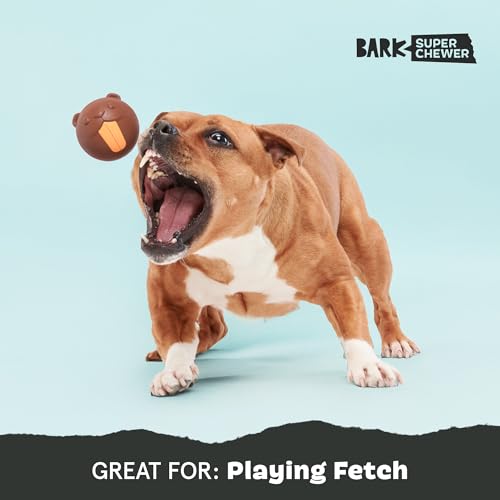 Barkbox Ricochet The Nutria Dog Toy – All-Rubber Design with Fun Squeak, Perfect for Enthusiastic Chewers and Durable Playtime - style: Ricochet The Nutria