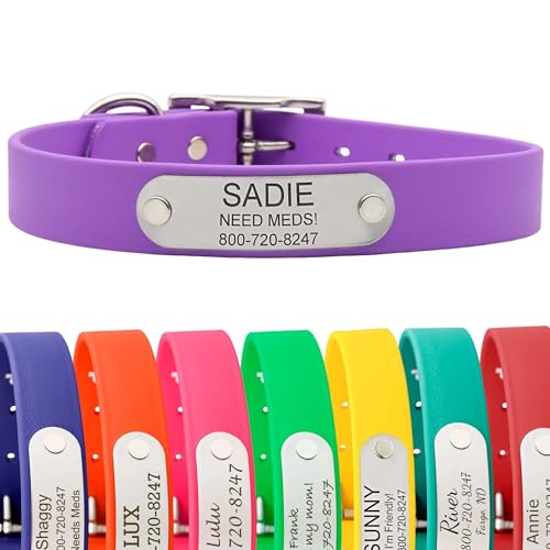 dogIDs Personalized Dog Collar – Custom Waterproof Soft-Grip Biothane with Laser-Engraved Nameplate, Durable & Odor-Resistant, USA Made | Amethyst, 1 in x 16 in (Fits Necks Size 14-18 in) - color: Amethyst, size: 1 in x 16 in (Fits Necks Size 14-18 in)