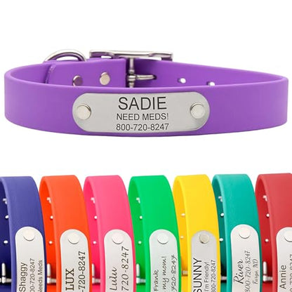 dogIDs Personalized Dog Collar – Custom Waterproof Soft-Grip Biothane with Laser-Engraved Nameplate, Durable & Odor-Resistant, USA Made | Amethyst, 1 in x 16 in (Fits Necks Size 14-18 in) - color: Amethyst, size: 1 in x 16 in (Fits Necks Size 14-18 in)