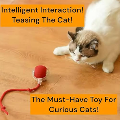 Interactive Electric Automatic Rolling Moving Rechargeable Self Play Stimulation Toy,Smart Pet Chase with Speedy Tail Rope for Bored Indoor Cats (Green) - color: GREEN