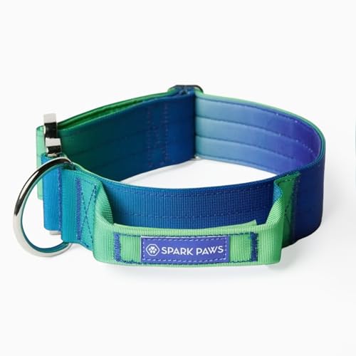 Spark Paws Tactical Dog Collar - Heavy Duty, Premium Quality, Thick and Durable for Large and Medium Dogs - Lime Wave - XS - 1" - color: Lime Wave, size: XS: 14"-19" [1" wide]