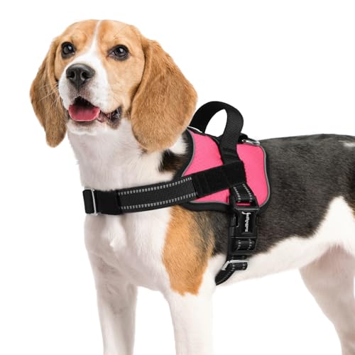 rabbitgoo Dog Harness Medium Sized, Easy On Pet Vest with One Buckle, No Pull Adjustable Service Harness with D-Ring & Handle, Reflective for Safety Walking, Training, Pink, M - color: Pink, size: Medium
