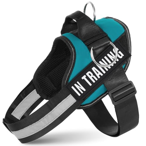 JUSTYEZI Essential Dog Harness with 3 Leash Clips - No-Pull, Adjustable, Comfortable Pet Vest Harness for Small to Large Dogs - Easy On, No Choke, Reflective, Padded Harness for Walking and Training