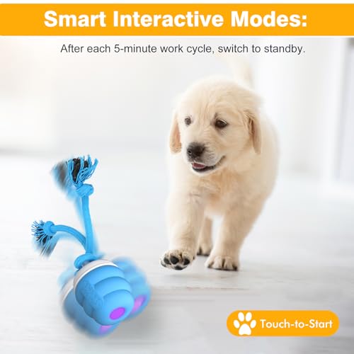 Interactive Dog Toys Ball - Fun Moving Dog Toys to Keep Them Busy | Rechargeable Smart Automatic Dog Ball for Large, Medium, and Small Puppy Dogs for Boredom, Blue