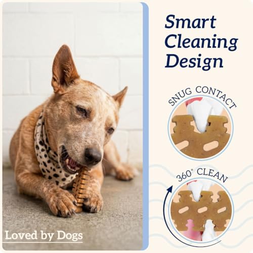 Groovies Senior Small Dog Dental Chews for Dogs, Patented DentalFit Technology for Plaque & Tartar Support, Flexible Texture for Easy Chewing, Chicken Flavor, USA Manufactured, 5–15 lb Dogs,96 Count - size: 27 Ounce