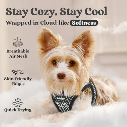 rabbitgoo Small Dog Harness, Step-in Soft Mesh Puppy Vest with Safety Buckle, Breathable Reflective Pet Harness for Small Sized Dogs, Black Zigzag XXS - color: Black Zigzag, size: Xxs(chest:12.4"-14.2")