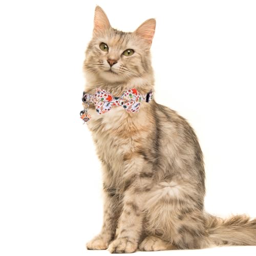 Thanksgiving Day Cat Collar Fall Breakaway with Bow Tie and Bell Autumn Holiday for Kitty Adjustable Safety - color: Pumpkin-bow