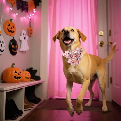 DOGWONG Cotton Fall Dog Collar, Pink Halloween Dog Collar with Bow Cute Pink Pumpkin Girl Dog Collars Puppy Necklace for Female Small Medium Large Dogs - color: ghost Pumpkin, size: XS