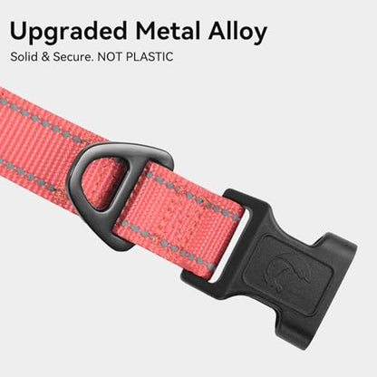 Joytale Reflective Dog Collar, Soft Neoprene Padded, Metal D-Ring, Nylon Pet Collar Adjustable for Puppy and Small Dogs, Neon Pink, XS - color: Neon Pink, size: X-Small (Pack of 1)