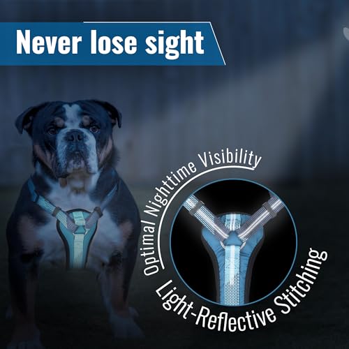 No-Pull Dog Harness with Handle - Escape Proof, Anti-Pulling, Grip Control, Multi-Angle Reflective for Safe Walks & Training, Easy On & Off, Metal Buckle–Pet Harness, Medium/Large Dogs- M- Blue - color: Blue, size: M:Neck16.9"~23.6",Chest18.9"-27.6"