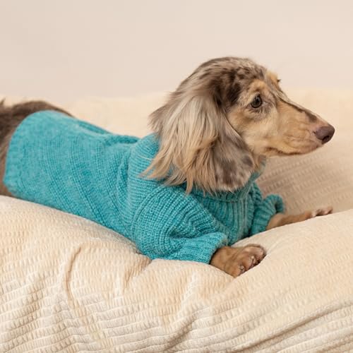 Fitwarm Turtleneck Dog Knitted Sweater, Thermal Winter Clothes for Small Dogs - Boy, Girl, Doggy Pullover Jumper, Pet Outfit, Teal Blue, XS - color: Steel Blue, size: X-Small
