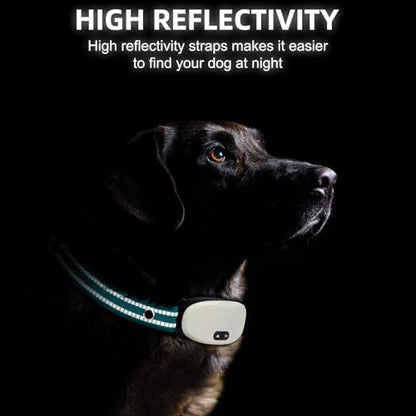 Collar Replacement Strap, Reflective Replacement Nylon Collar Strap Dog GPS Training Bark Receiver Collars, Durable Adjustable E Collar Straps for Small Medium Large Dogs, Green - color: Green