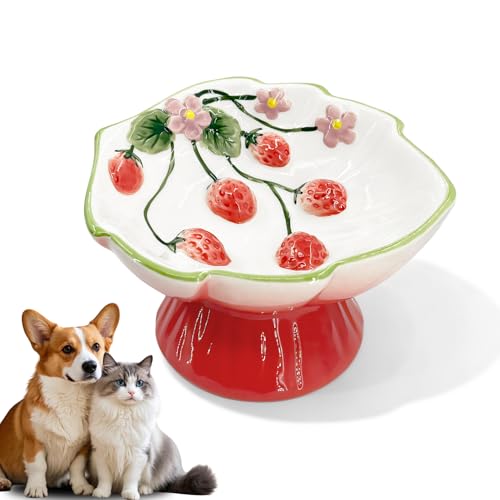 Ceramic Strawberry Elevated Cat Bowls, Tilted Raised Pet Dish for Anti Vomit, Spine Protection, Whisker Friendly - Excellent Raised Food and Water Bowl for Indoor Cats, Flat-Faced Cats (Red) - color: Red