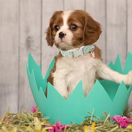 ARING PET Easter Dog Collar-Cute Easter Eggs Dog Collar, Adjustable Rabbit&Carrot Print Pet Collars Puppy Collar with Quick Release Buckle for Girl&Boy Dogs - color: Easter-Green Rabbit, size: X-Small