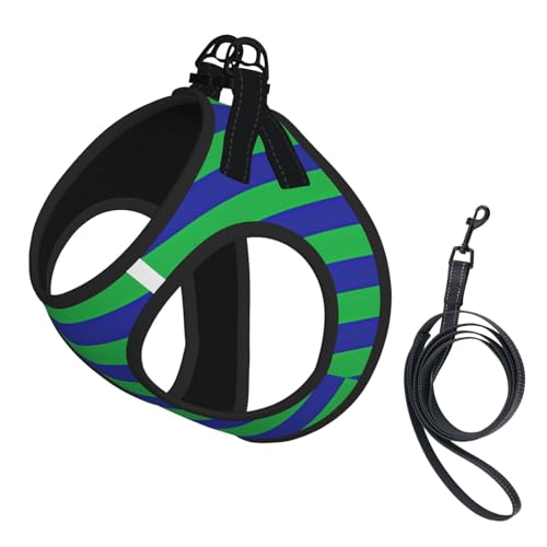 Green and Blue Stripes Dog Harness and Leash Set, No Pull Reflective Adjustable Soft Mesh Padded Pet Vest with Safety Buckle for Small Medium Dogs and Cats Medium - color: Green And Blue Stripes, size: Medium
