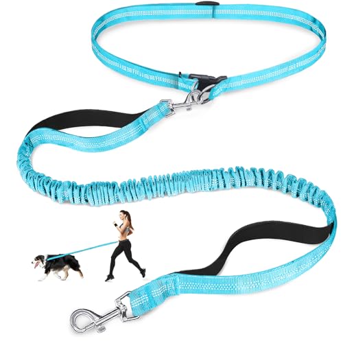 Laqibak Hands Free Dog Leash, Adjustable Waist Leash for Dog Walking, Dual Handle Bungee Dog 4.2-6.7 Feet Long with Reflective Stitches for Walking Hiking Running, Fits 26"- 43" Inch Waist, Blue - color: Blue