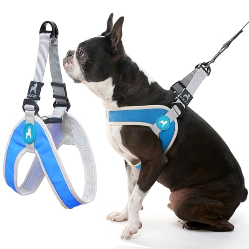 Gooby Simple Step in III Harness - Blue, Medium - Small Dog Harness with Scratch Resistant Outer Vest - Soft Inner Mesh Harness for Small, Medium Dogs - color: Blue, size: Medium chest (16.75∼21.5")