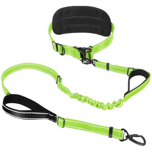 Hands Free Large Dog Leash, 6-8 FT Bungee Leash with Waist Belt for Dog Up to 150 lbs, Running Walking Jogging - color: 1 Dog – Forest Glow