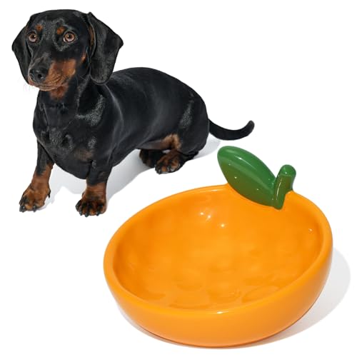 VETRESKA Ceramic Pet Bowl Tilted Design Pet Feeder for Food and Water Anti Vomit Cat Bowls for Indoor Cats Cute Tangerine Cat Bowl Dishwasher Safe - color: Tangerine Bowl
