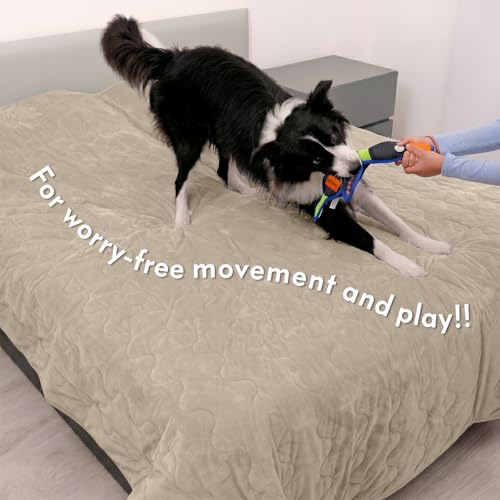 Paw Inspired Non-Slip Couch & Furniture Protector, Waterproof, Washable Bed & Couch Cover for Dogs, Cats, Pets (Anti-Slip, Beige) - color: Anti-slip Tan