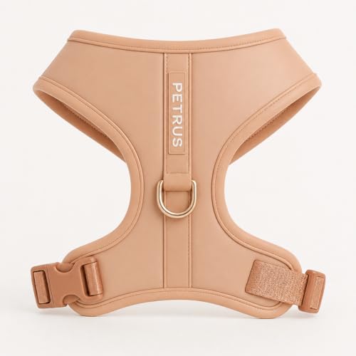 Premium No-Pull Dog Harness Soft Neoprene & Breathable Mesh Vest with Front & Back Clip D-Rings Adjustable Lightweight Walking Harness for Puppies, Small & Medium Dogs (Rose Beige, XS) - color: Rose Beige, size: XS: Neck 10.6-14.2'', Chest 14.2-18.9''