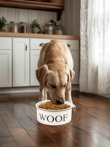 Ceramic Dog Bowl with Bone Pattern - 8" Extra Large Food Water Bowl for Medium and Large Dogs, Weighted, Microwave & Dishwasher Safe, 55 oz (Beige) - color: Off-white