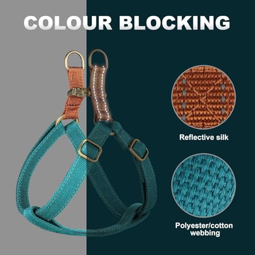 Didog Step in Dog Harness with Metal Buckles, Freedom Nylon Dog Halter Vests for Small Dogs Easy Walking Training(S:Chest 13-22", Blue) - color: Blue, size: S: Chest 14-22", Fit 7-18 lbs