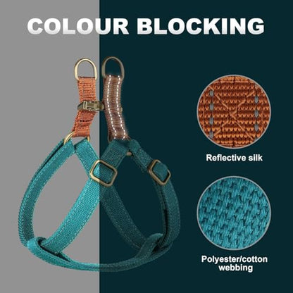 Didog Step in Dog Harness with Metal Buckles, Freedom Nylon Dog Halter Vests for Small Dogs Easy Walking Training(S:Chest 13-22", Blue) - color: Blue, size: S: Chest 14-22", Fit 7-18 lbs